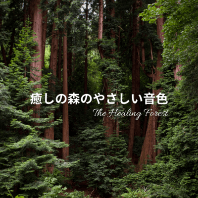 癒しの森のやさしい音色のジャケット写真