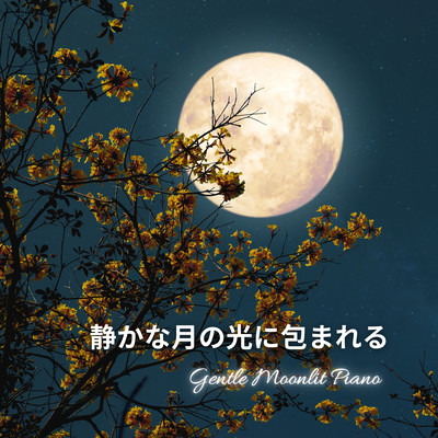 Gentle Moonlit Piano Front Cover