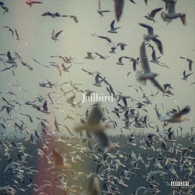Jailbird Front Cover