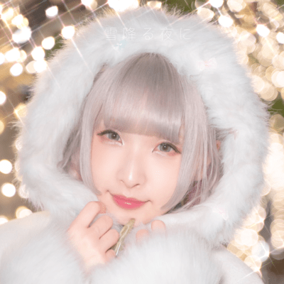 The snowy night Front Cover