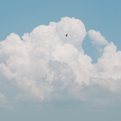 scenesのジャケット写真