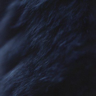 waltz (feat. takaramahaya) Front Cover