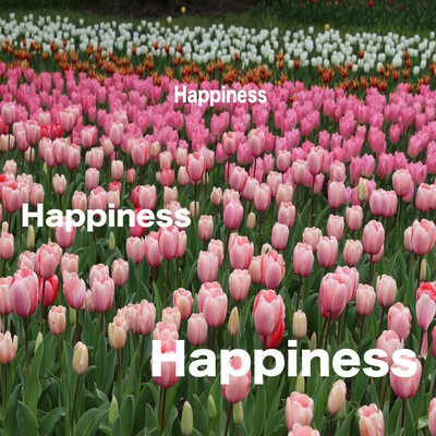 Happinessのジャケット写真