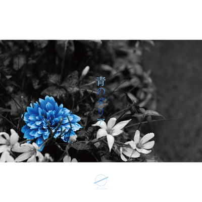 the blue dahlia Front Cover