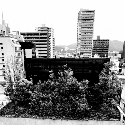 in paradise Front Cover