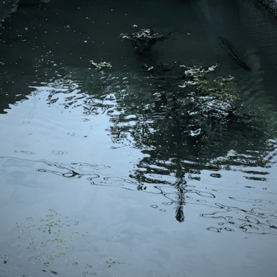 The Ambient Vessel Front Cover