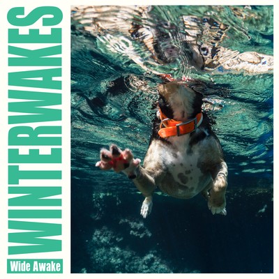 Wide Awake Front Cover