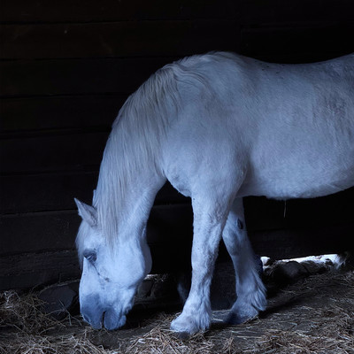 Walk In Water Front Cover