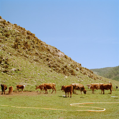 AMANOJAKU (feat. JUMADIBA) Front Cover