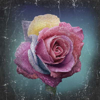 Beside you. Front Cover