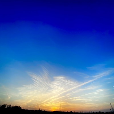 空属性のジャケット写真