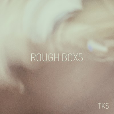 ROUGH BOX5のジャケット写真