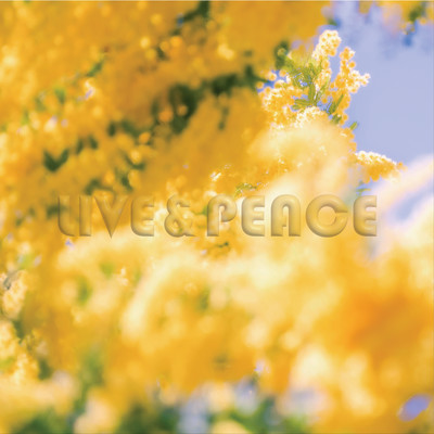 LIVE&PEACEのジャケット写真
