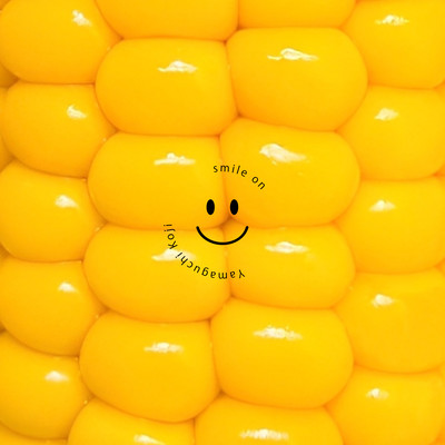 smile on Front Cover