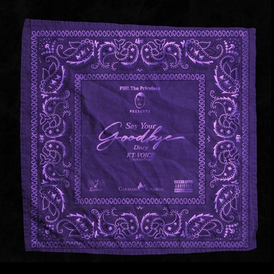 Say Your Goodbye (feat. Disry & KT-Voice)のジャケット写真