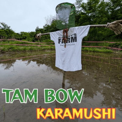 TAM BOW Front Cover