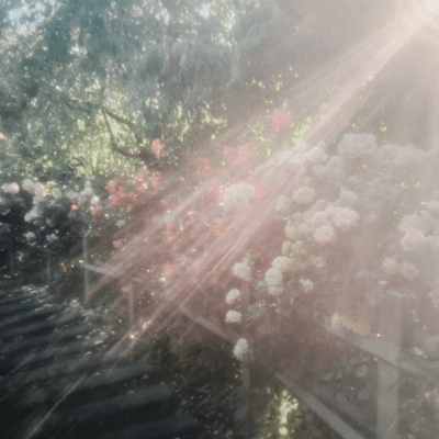 Paradise (Sped Up) Front Cover