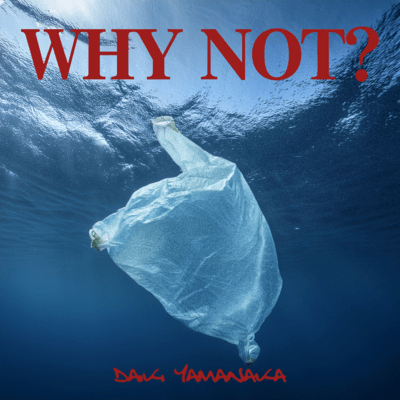 WHY NOT?のジャケット写真