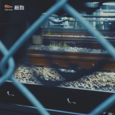 細胞のジャケット写真