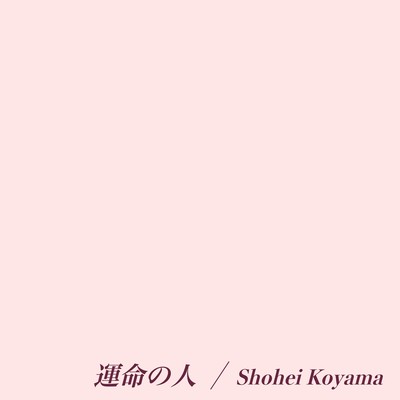 運命の人のジャケット写真