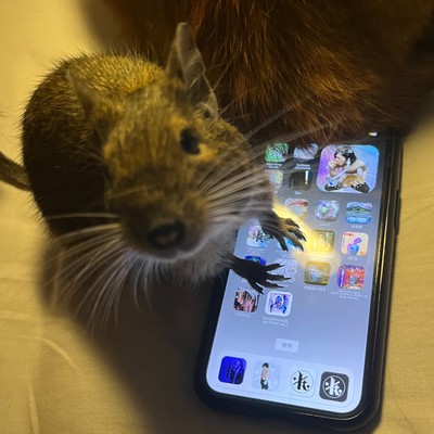 2020-2023のジャケット写真