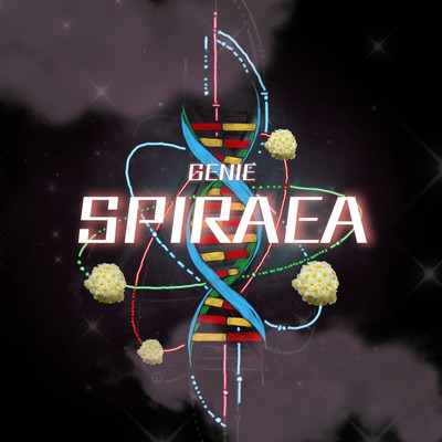 SPIRAEAのジャケット写真