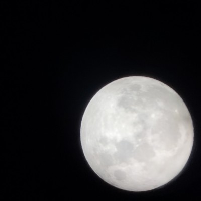 Midnight Front Cover