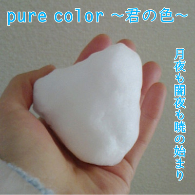 pure color -your color- Front Cover