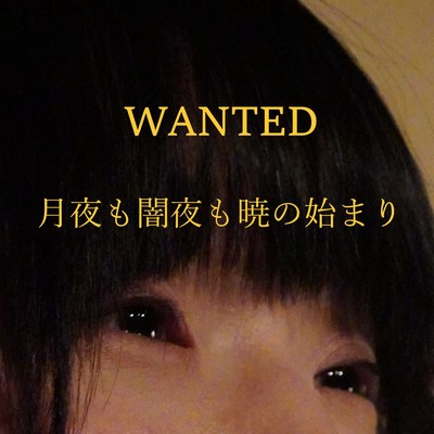 WANTED Front Cover