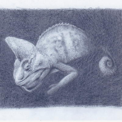 Passing point Front Cover