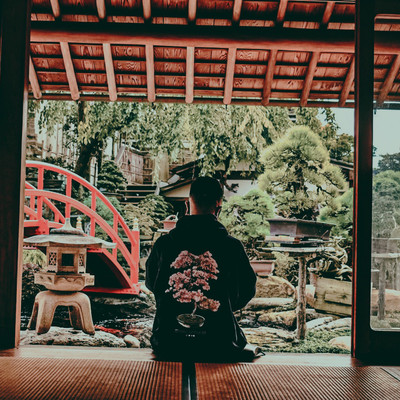 MIYABI Front Cover