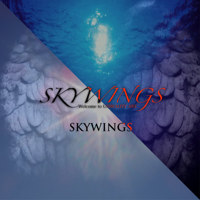 SKYWINGS Front Cover
