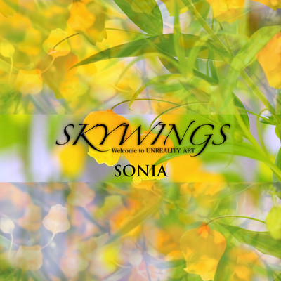 SONIAのジャケット写真