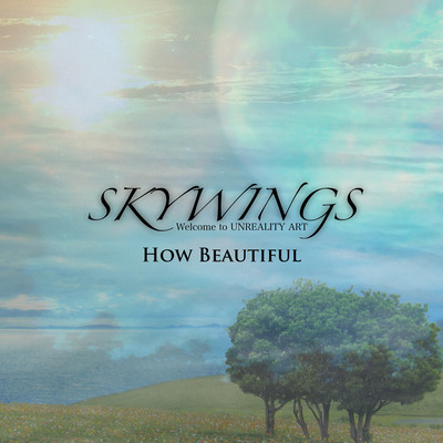 How Beautiful Front Cover