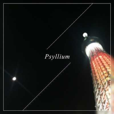 Psyllium Front Cover