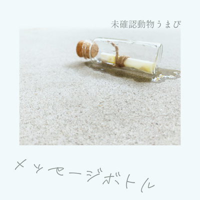 message in a bottle Front Cover