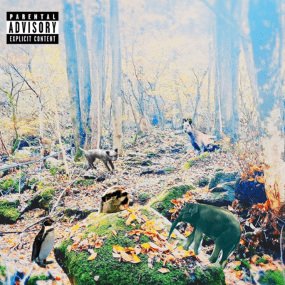 In the shade, slang words prevail today. Front Cover