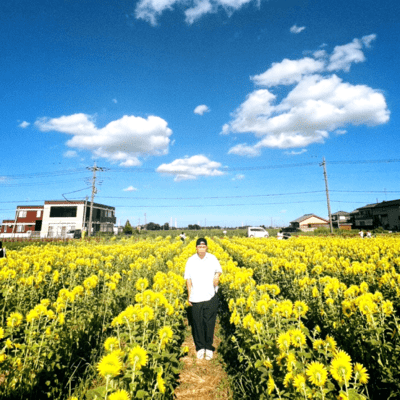 alive afar Front Cover