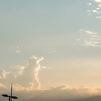 未タイトルのジャケット写真