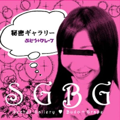 Secret Gallery Front Cover