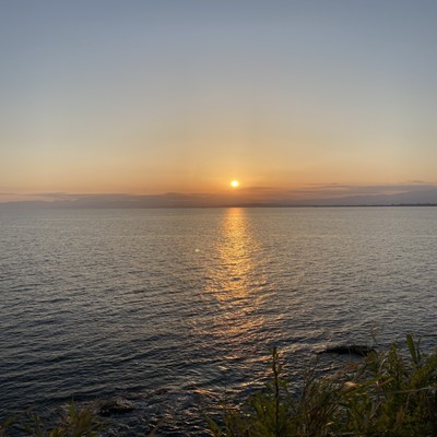 八月の思い出のジャケット写真