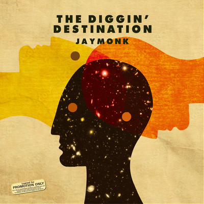 THE DIGGIN' DESTINATION Front Cover