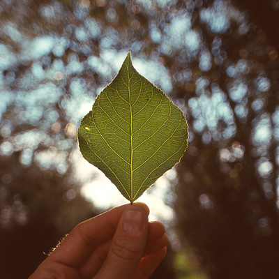 Kizuna -Ties- Front Cover