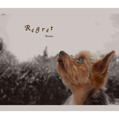 regretのジャケット写真