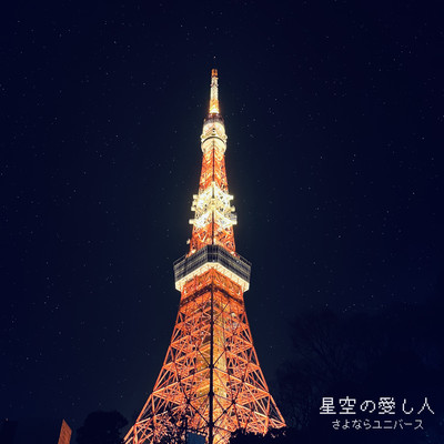 Lovers of Starry Night Front Cover