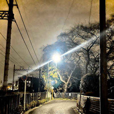 かわれのジャケット写真