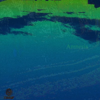 Amnesiaのジャケット写真
