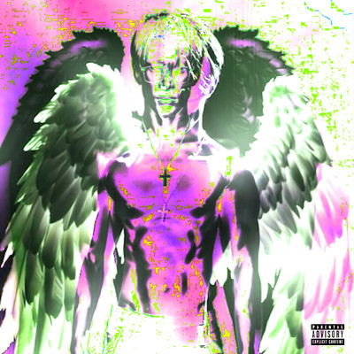 Fall into the light Front Cover