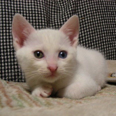 One Time, One Meeting Front Cover