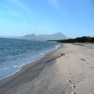 Super Hug to You Front Cover